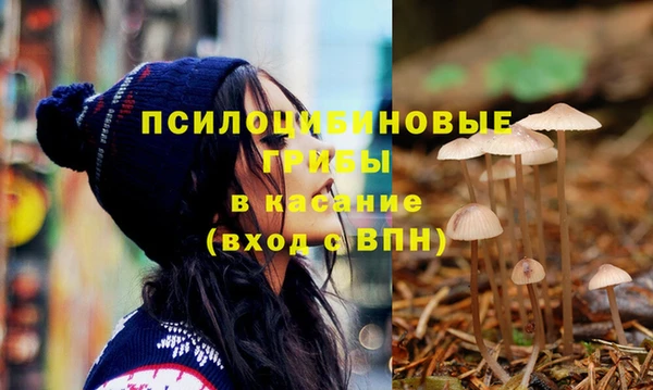 дурь Беломорск