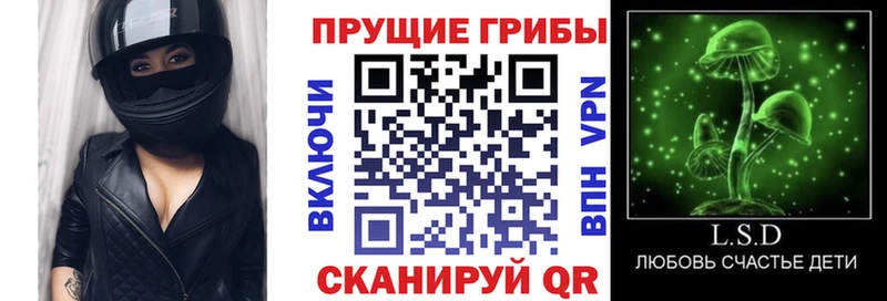 Псилоцибиновые грибы Psilocybe  где можно купить наркотик  Окуловка 